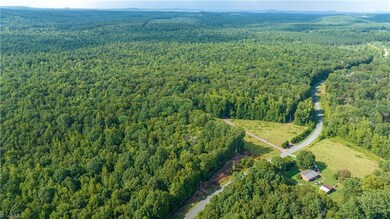 2482 S Chapel Hill Church Rd, Denton, NC 27239 - photo 4