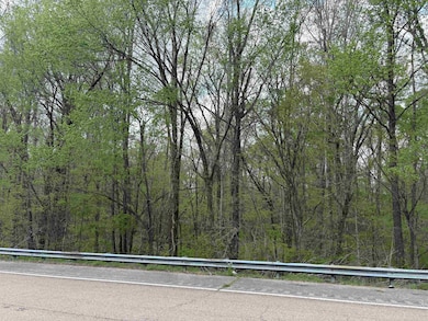 View of road