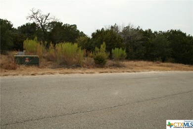 Left property line view