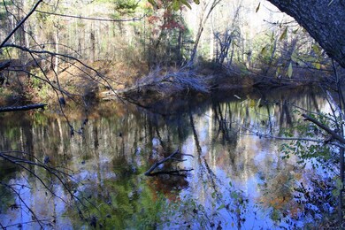 Daddy's Creek