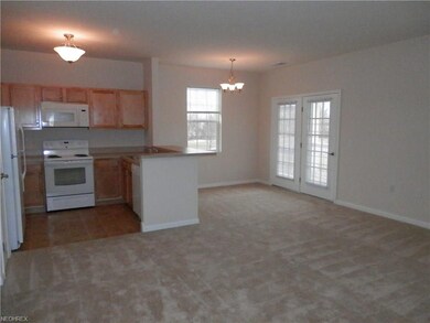 910 Aqua Marine Blvd, Avon Lake, OH 44012 - photo 2