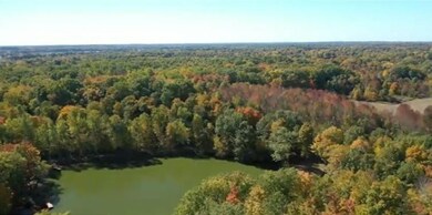 Aerial Lake View