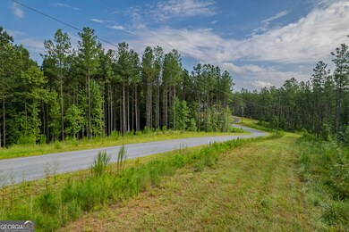 Lot 195 Blalock Mountain Rd, Talking Rock, GA 30175 - photo 5