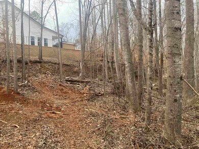 163 Rockingham Rd, Duncan, SC 29334 - photo 5