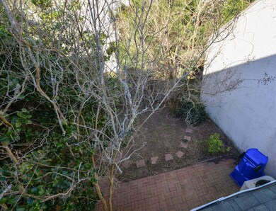 Back yard (1 of 1)