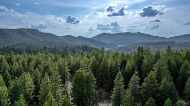 00 Buck Creek Rd, Loon Lake, WA 99148 - photo 2