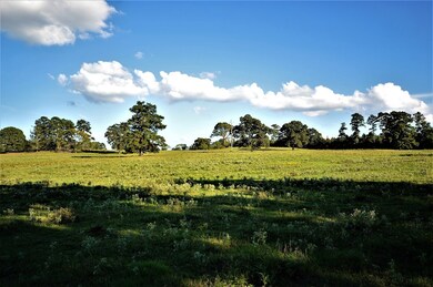 000 Fm 698, Nacogdoches, TX 75964 - photo 5