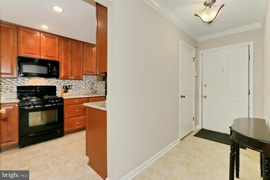 10094 Oakton Terrace Rd unit 10094, Oakton, VA 22124 - photo 5