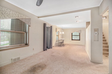 317 Doty Ave, Ann Arbor, MI 48103 - photo 3