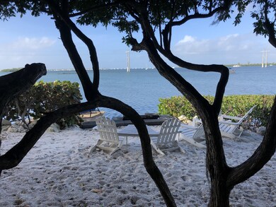 fire pit-tree A