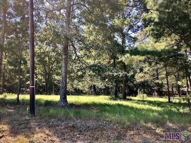 LOT 3 Bo Derrick Dr, Ethel, LA 70730 - photo 2