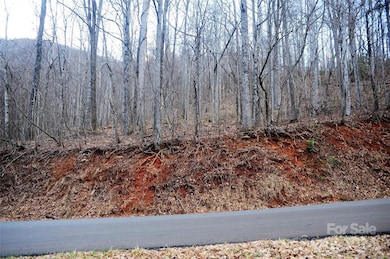 You can see the gentleness of this lot from the road during the winter.