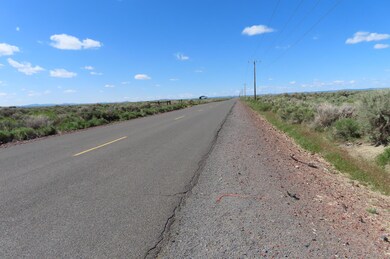 TL 200 Fossil Lake [27s19e06-00-00200, Christmas Valley, OR 97641 - photo 4
