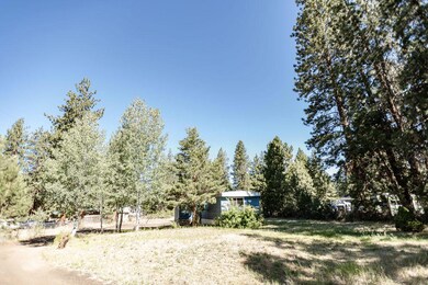 Lot 1