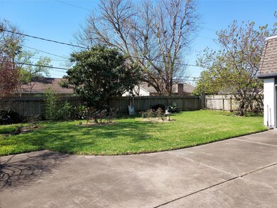 Large Backyard