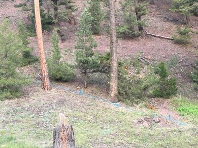 7245 & 723 Trout Creek Rd, Helena, MT 59602 - photo 3