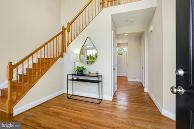 4700 Jones Bridge Rd, Bethesda, MD 20814 - photo 5