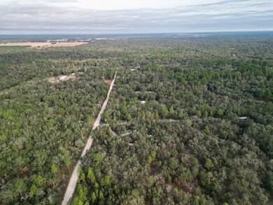 TBD NE 120th Ave, Bronson, FL 32621 - photo 5