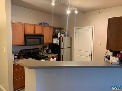 765 Walker Square unit 3C, Charlottesville, VA 22903 - photo 5