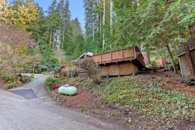 610 Nelson Rd, Scotts Valley, CA 95066 - photo 4