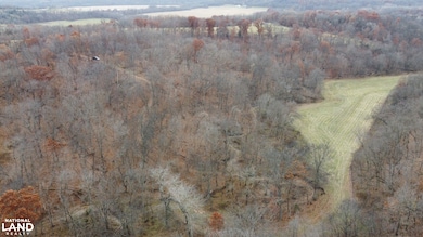 15966 Pine Trail, Unionville, MO 63565 - photo 6