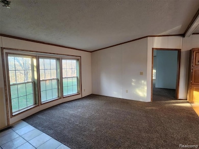 Empty room with light colored carpet, crown molding, a textured ceiling, and light tile patterned floors