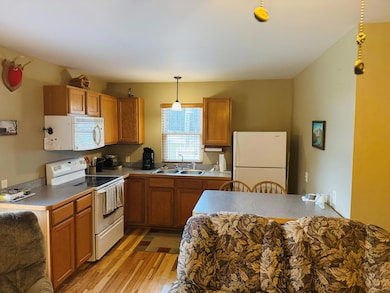 7104 N M-117, Engadine, MI 49827 - photo 6