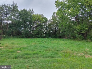 11741 Freemans Ford Rd, Remington, VA 22734 - photo 6