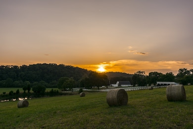 This is the sun setting over the farm! It is just breathtaking! 