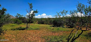 TBD E Beech Craft Blvd, Bisbee, AZ 85603 - photo 6