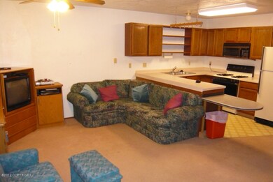 Living Room-KItchen