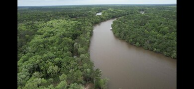 IMG_0281