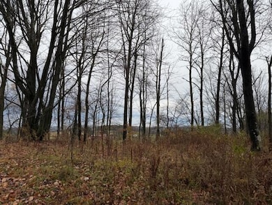 0 Woodbury Rd, Washington Township, PA 15824 - photo 5