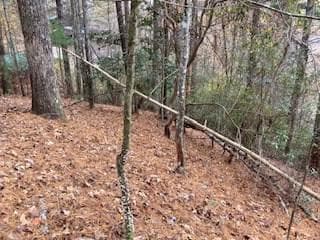 Lot 1375 Lyric Ln, Ellijay, GA 30540 - photo 4