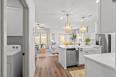 203 Ruby Prince Way, Lexington, SC 29073 - photo 5