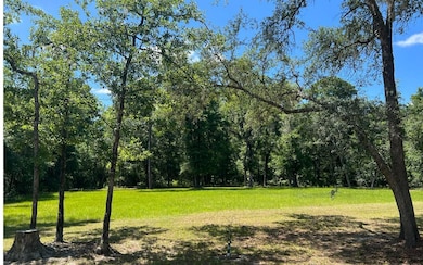 284 SW Blast Ct, Fort White, FL 32038 - photo 2