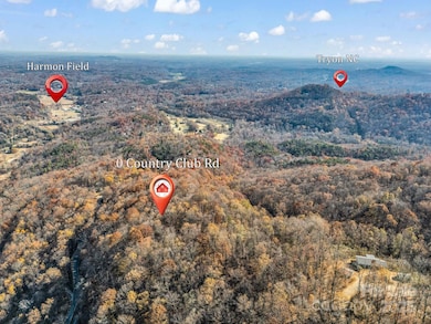 9999 Country Club Rd, Tryon, NC 28782 - photo 4