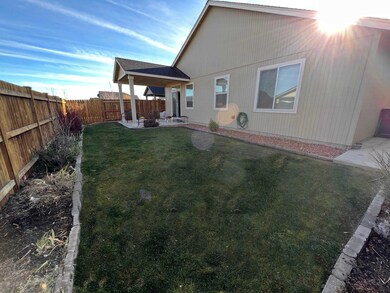 Back Yard 2