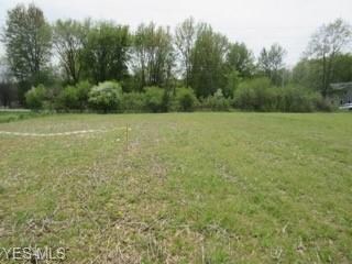 V/L E Hamilton St, New Russia, OH 44074 - photo 6