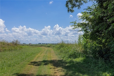 000 Farm Road 50, Snook, TX 77879 - photo 6