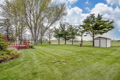 Rear Yard and Shed