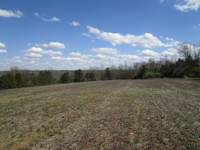 Tract-4 Cole Ln, Harrodsburg, KY 40330 - photo 4