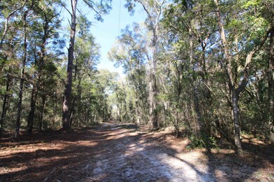 75 Simmie Dr, Crawfordville, FL 32327 - photo 2