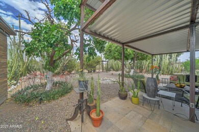 Backyard Paradise