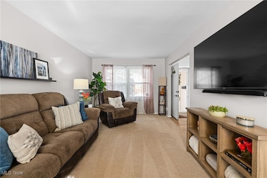 8220 Lancaster Dr unit 4, Mentor, OH 44060 - photo 7