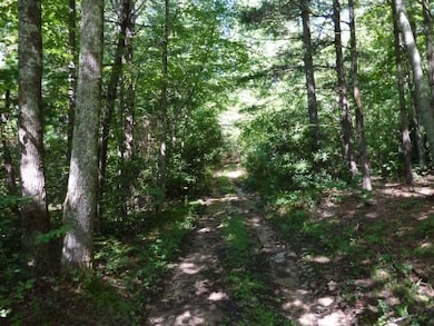 Road Bed