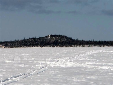 Rabbits Back Peak winter
