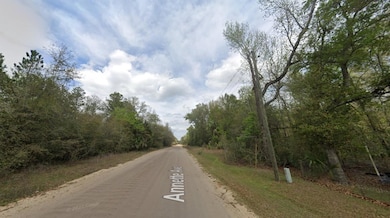 915 Annette Ave, Interlachen, FL 32148 - photo 3