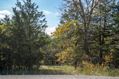 4 Acres Fox Fire Knoll Dr, Kimberling City, MO 65686 - photo 5