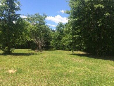 1016 W Mchenry Rd, McHenry, MS 39561 - photo 2